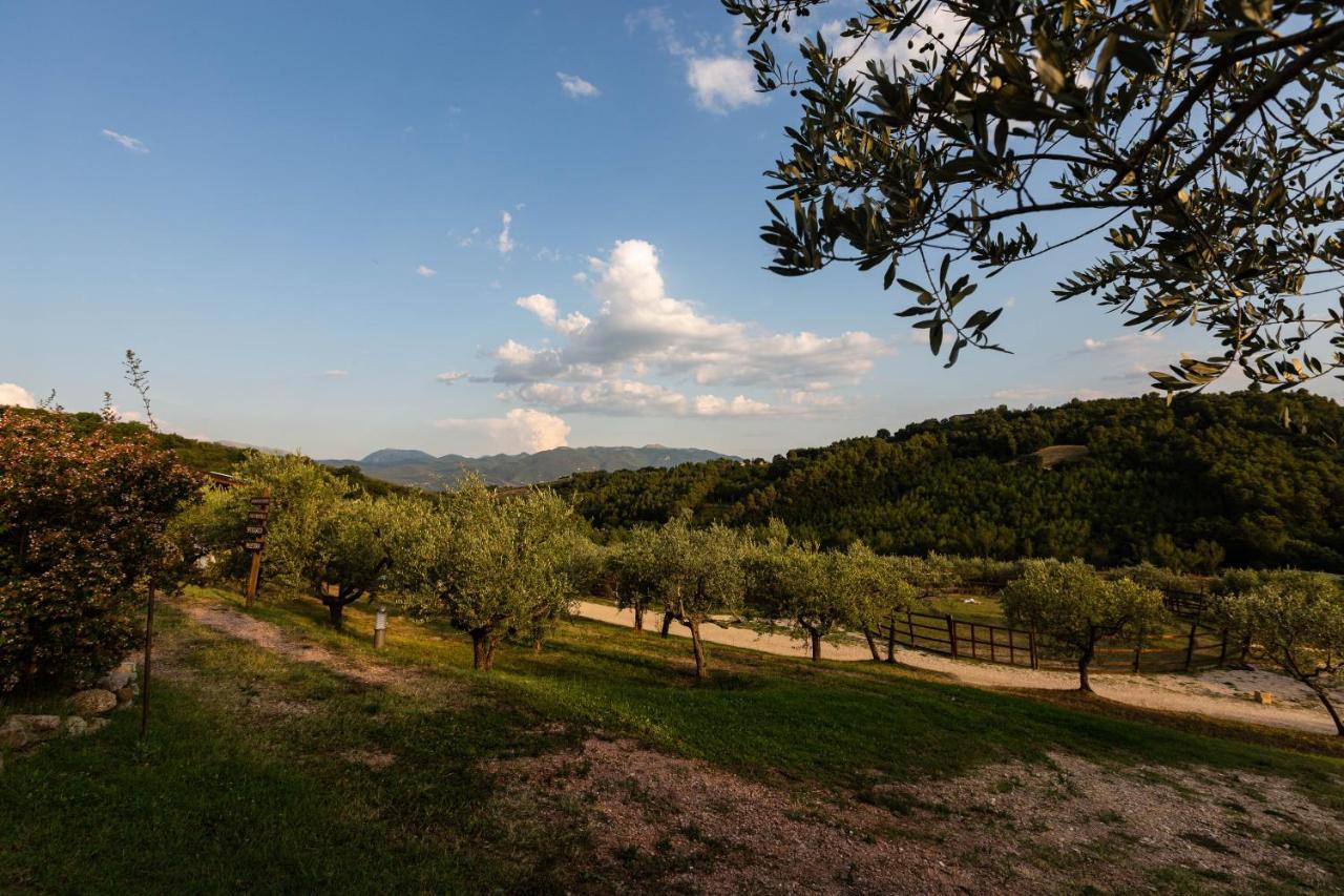 Agriturismo Agrileisuretime Spoleto Dış mekan fotoğraf
