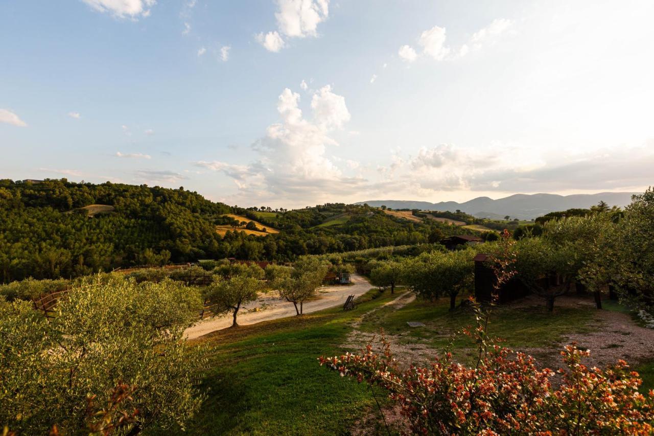 Agriturismo Agrileisuretime Spoleto Dış mekan fotoğraf