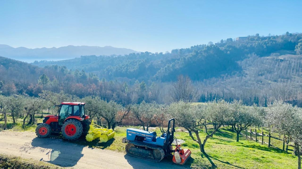 Agriturismo Agrileisuretime Spoleto Dış mekan fotoğraf